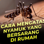 Ini 7 Game Roblox Gratis yang Sering Dimainkan Gamers 2025