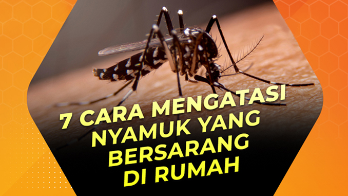 cara mencegah nyambuk berkembang biak dirumah